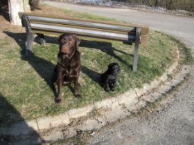 K640_Jordi + Pino 006.JPG
