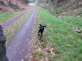 K640_DSCN0034_bearbeitet-1.JPG