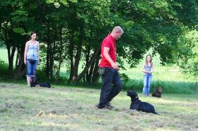 IMG_2628.JPG