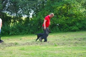IMG_2644.JPG