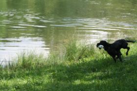K1024_IMG_0684.JPG