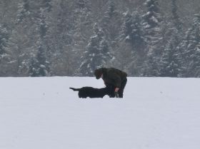 2013-02-11 12.43.13.jpg