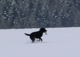 2013-02-11 12.43.07.jpg