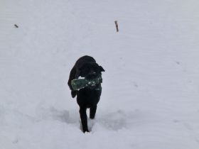 2013-02-11 12.32.30.jpg