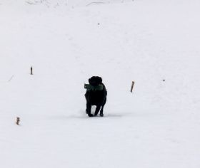 2013-02-11 12.29.59.jpg