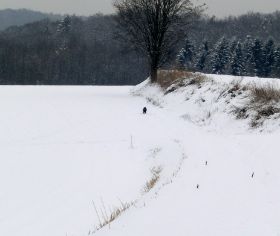 2013-02-11 12.29.47.jpg