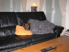 K640_IMG_1272.JPG