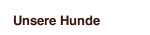 Unsere Hunde